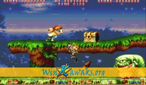 Three Wonders (US 910520) Screenshot Three Wonders (US 910520) Screenshot