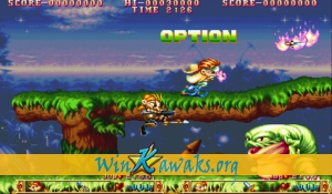 Three Wonders (US 910520) Screenshot Three Wonders (US 910520) Screenshot