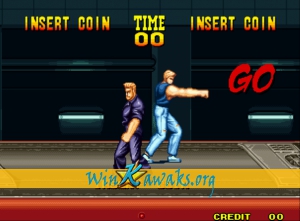 Burning Fight Screenshot