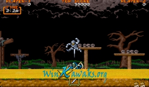 Dai Makai-Mura (Japan Resale Ver.) Screenshot
