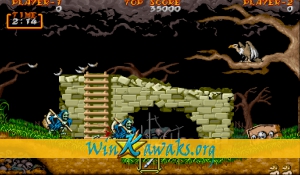 Dai Makai-Mura (Japan Resale Ver.) Screenshot Dai Makai-Mura (Japan Resale Ver.) Screenshot