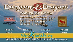 Dungeons and Dragons: Tower of Doom (Asia 940412)