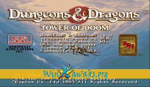 Dungeons and Dragons: Tower of Doom (Hispanic 940113)