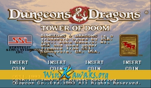 Dungeons and Dragons: Tower of Doom (Japan 940125)