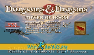 Dungeons and Dragons: Tower of Doom (Japan 940113) Dungeons and Dragons: Tower of Doom (Japan 940113)