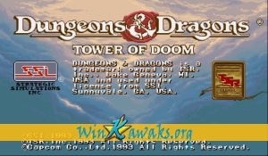 Dungeons and Dragons: Tower of Doom (US 940125)