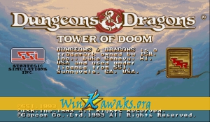 Dungeons and Dragons: Tower of Doom (US 940125) Dungeons and Dragons: Tower of Doom (US 940125)
