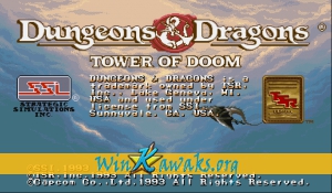 Dungeons and Dragons: Tower of Doom (US 940113)