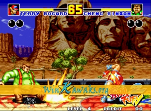 Fatal Fury 2 Screenshot Fatal Fury 2 Screenshot