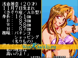 Final Romance 2 (Neo CD conversion) Screenshot