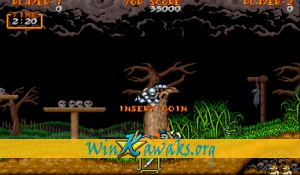 Ghouls'n Ghosts (US) Screenshot