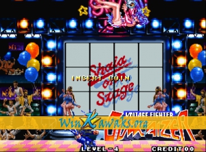 Voltage Fighter: Gowcaizer Screenshot Voltage Fighter: Gowcaizer Screenshot