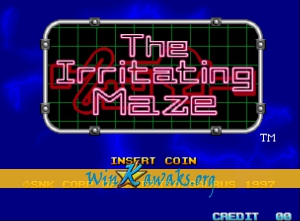 The Irritating Maze
