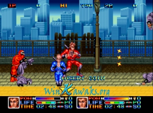 Ninja Combat Screenshot