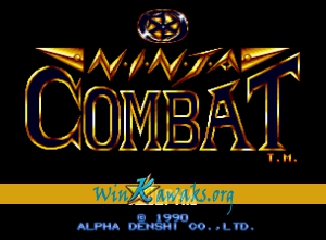 Ninja Combat