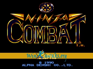 Ninja Combat