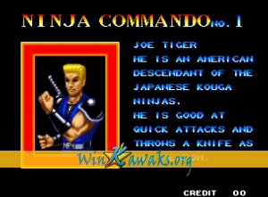 Ninja Commando Screenshot Ninja Commando Screenshot