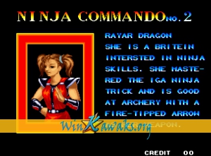 Ninja Commando Screenshot