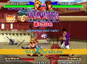 Ninja Master's: haoh-ninpo-cho Screenshot