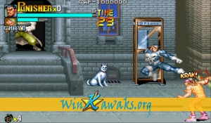 Biaofeng Zhanjing (Chinese bootleg) Screenshot Biaofeng Zhanjing (Chinese bootleg) Screenshot
