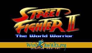 Street Fighter II - The World Warrior (US 910318)