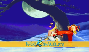 Street Fighter Zero 2 (Japan 960227) Screenshot