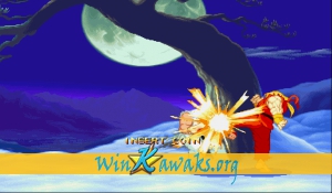 Street Fighter Zero 2 (Oceania 960229) Screenshot