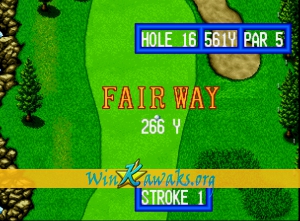 Top Player's Golf Screenshot