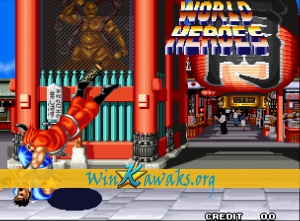 World Heroes (set 2) Screenshot