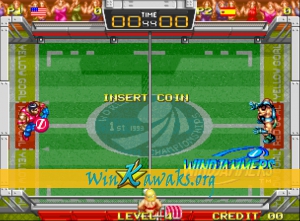 Wind Jammers Screenshot